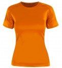 Safety Orange thumbnail